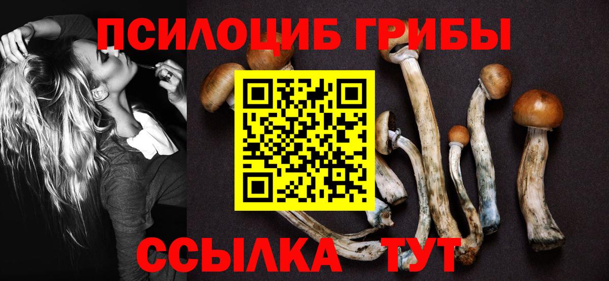 Галлюциногенные грибы Magic Shrooms  Вход с VPN  Кудымкар 